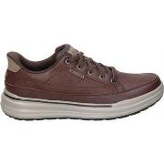 Kengät Skechers  211234-CHOC  42