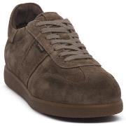 Kengät NeroGiardini  NERO GIARDINI 311 AROLD FANGO  42