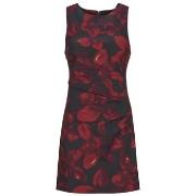 Lyhyt mekko Desigual  PETOFRUNCE  EU S