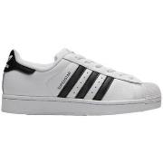 Lastenkengät adidas  Superstar  36