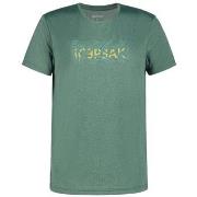 Lyhythihainen t-paita Icepeak  Bearden  EU XXL