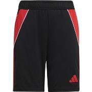 Shortsit & Bermuda-shortsit adidas  JN4567000  EU L