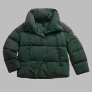 Pusakka Blauer  ROSS  EU S