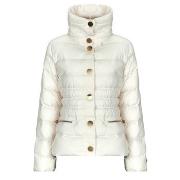 Toppatakki Armani Exchange  BLOUSON JACKET - BLOUSON JACKET  EU M