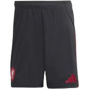 Shortsit & Bermuda-shortsit adidas  Lfc A Sho  EU S