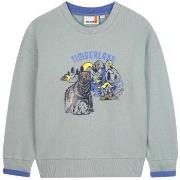 Svetari Timberland  T60543 71B  6 vuotta