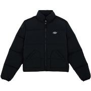 Toppatakki Dickies  Summerdale Puffer W  EU S