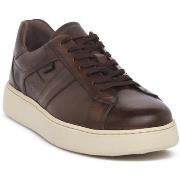 Kengät NeroGiardini  NERO GIARDINI 412 DELAVATO BEIGE  41