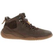 Kengät Josef Seibel  20703MA796310  43