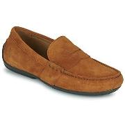 Kengät Polo Ralph Lauren  REYNOLD  41