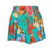 Shortsit & Bermuda-shortsit Desigual  SHORT_ALONDRA  EU S