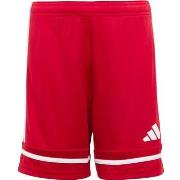 Shortsit & Bermuda-shortsit adidas  Squadra 25  EU S