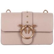 Olkalaukut Pinko  105856 A0F1  Yksi Koko