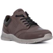 Kengät Ecco  IRVING DARK CLAY  43