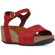 Sandaalit Frau  NABOUK CILIEGIA  36