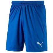 Shortsit & Bermuda-shortsit Puma  Liga Shorts Core  EU XXL