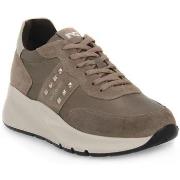 Kengät NeroGiardini  NERO GIARDINI  501 VELOUR TALPA  36