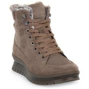 Kengät IgI&CO  KIA FANGO  37