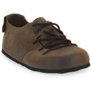 Tennarit Bioline  BRUCE INGRASSATO MARRONE  41