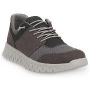 Tennarit IgI&CO  EDO GRIGIO  43