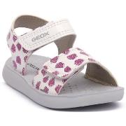 Poikien sandaalit Geox  C0563 LIGHTFLOPPY  24