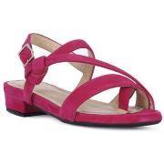 Sandaalit Frau  CAMOSCIO FUXIA  36