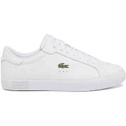 Kengät Lacoste  49SMA0081-21G  45