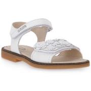 Poikien sandaalit Balducci  GULLIT AMBRA  29