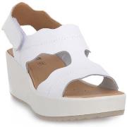 Sandaalit IgI&CO  CANDY BIANCO  38