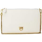 Pikkulaukut Pinko  FLAT CLASSIC VITELLO SETA 100455 A0F1  Yksi Koko