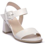 Sandaalit NeroGiardini  NERO GIARDINI  707 NAPPA PANDORA BIANCO  38