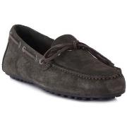 Kengät Frau  SUEDE SALVIA  45