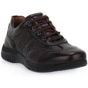 Kengät Zen  BOSTON BROWN  42