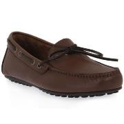 Sandaalit Frau  BROWN SPINNER  41