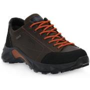 Kengät IgI&CO  BOSCO STING  42