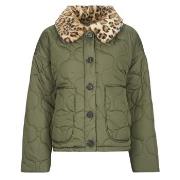 Pusakka Noisy May  NMHOLLY  EU S