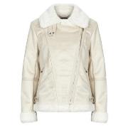 Pusakka Morgan  GSAPA  DE 34