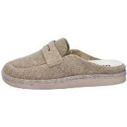 Kengät Salvi  61L-001  36