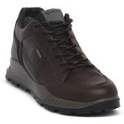 Tennarit IgI&CO  FIORE TESTA MORO  44