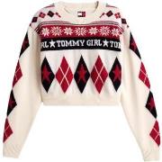 Neulepusero Tommy Hilfiger  DW0DW22498  EU S