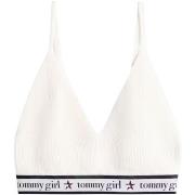 Paita Tommy Hilfiger  DW0DW22501  EU S