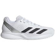 Kengät adidas  Courtflash Speed 2  44