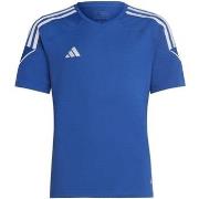 Lyhythihainen t-paita adidas  Tiro 23 League JR  EU XS