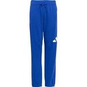 Jogging housut / Ulkoiluvaattee adidas  JV9916  EU S