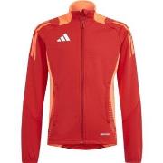 Ulkoilutakki adidas  IR5500  EU S