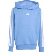 Svetari adidas  Essentials  EU S