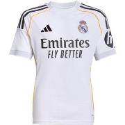 Lyhythihainen t-paita adidas  Real Madrid  EU XS