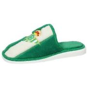 Kengät Andinas  -  39