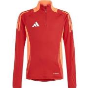 Ulkoilutakki adidas  IS1652  EU M