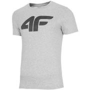 Lyhythihainen t-paita 4F  TSM353  EU M